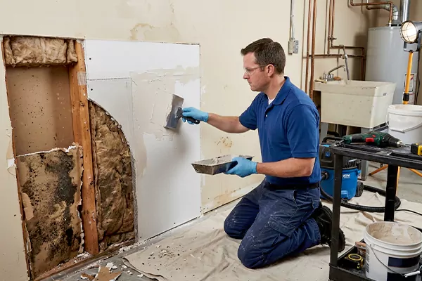 Mold and Drywall Repair Hemet