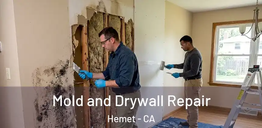  Mold and Drywall Repair Hemet - CA