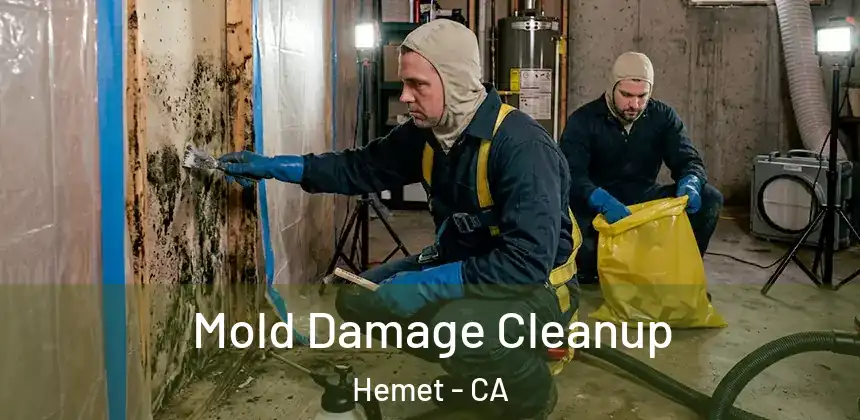  Mold Damage Cleanup Hemet - CA