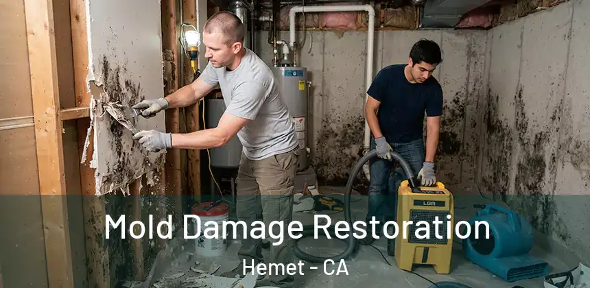  Mold Damage Restoration Hemet - CA