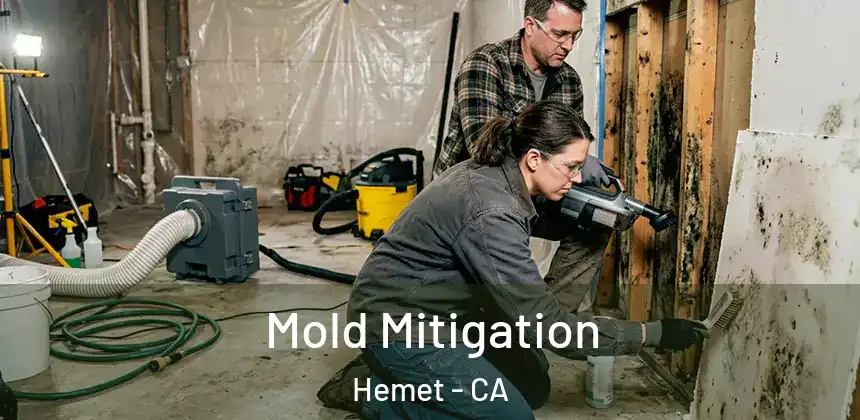 Mold Mitigation Hemet - CA