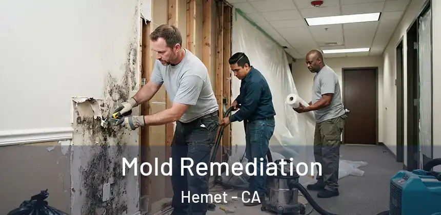  Mold Remediation Hemet - CA