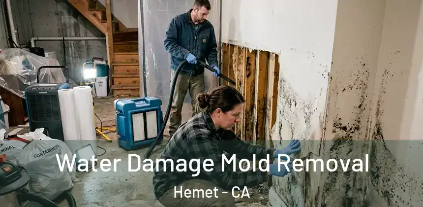  Water Damage Mold Removal Hemet - CA