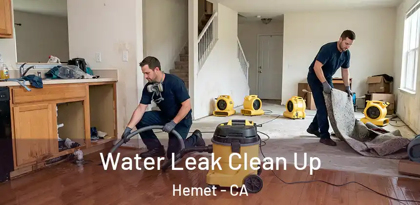 Water Leak Clean Up Hemet - CA